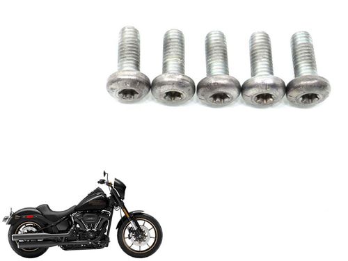 Parafuso Disco Freio Traseiro Harley-davidson Low Rider S 19-22