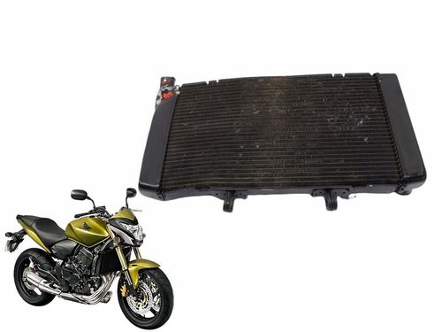 Radiador Honda Hornet 600 Hornet600 08-14 Usad