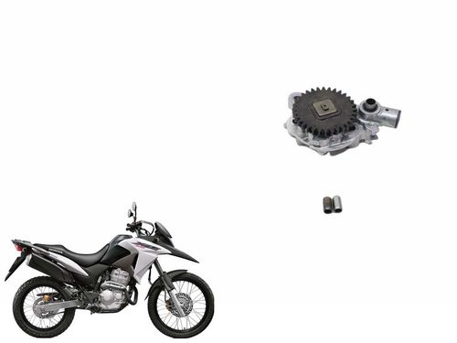 Bomba Óleo Honda Xre 300 09-2