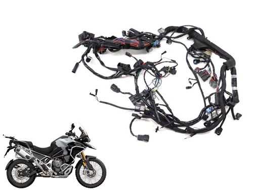 Chicote Principal Triumph Tiger 1200 Explorer 22-2