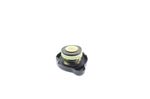image-9d4fda4f965f40fabb74f98859208ca4