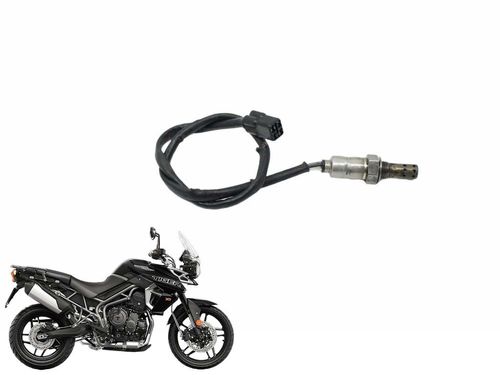 Sonda Lambda Triumph Tiger 800 Tiger800 16-2