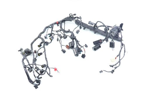 Chicote Principal Triumph Daytona 675 Daytona675 13-14