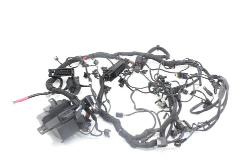 Chicote Principal Bmw S 1000 Rr S1000rr 18-19