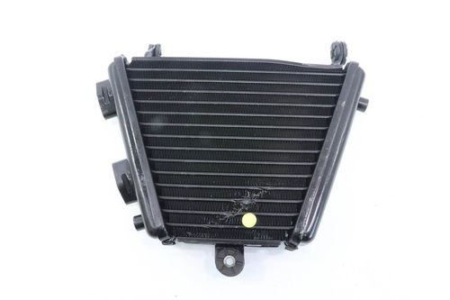 Radiador Óleo Suzuki Gsxr 1000 Srad Srad 1000 11-16