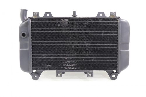Radiador Kawasaki Zx 6 Zx6 95-95