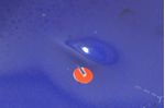 image-458e92ea4a9a43d6bd25bab6649a072b