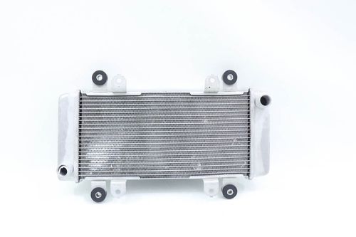 Radiador Kawasaki Ninja 300 Ninja300 13-17
