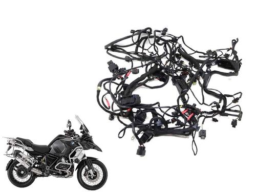 Chicote Principal Bmw R 1250 Gs ADV 19-23