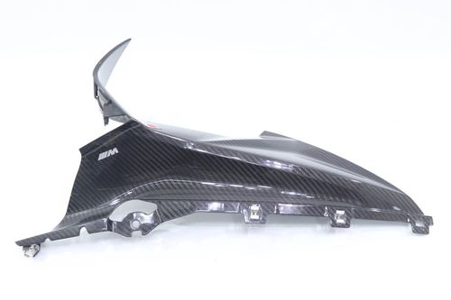 Acabamento Lateral L/e (fibra) Bmw S 1000 Rr 20-22