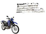 image-125f4f89de364c2eaa2d53017810a1f6