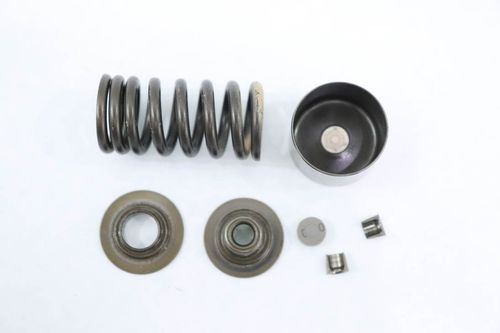 Mola Válvula Escape Kawasaki Z 750 Z750 08-12