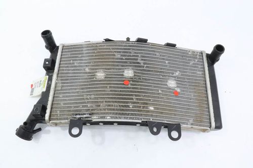 Radiador Bmw F 750 Gs F750gs 17-20