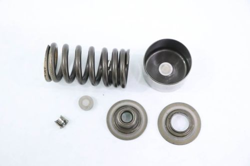 Mola Válvula Escape Kawasaki Z 750 Z750 08-12
