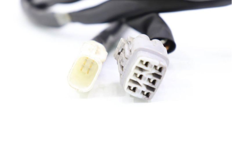 image-f7cb600a2cf4410a8bf3f282766ac4df