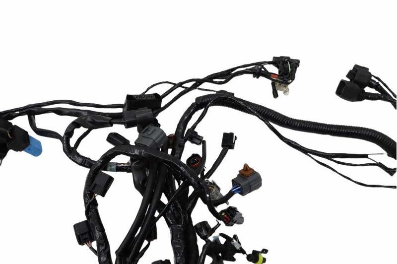 image-df0e0ed7c15c4885a90e31b8a88e1f57
