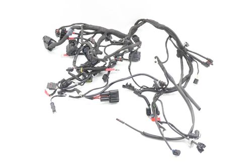 Chicote Principal Bmw R 1250 Gs R1250gs 19-20