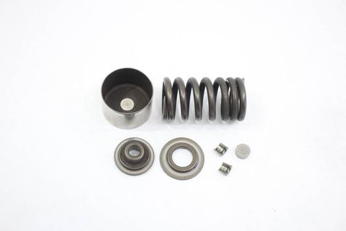 Mola Válvula Admissão Kawasaki Er-6n Er6n 09-12