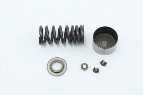 Mola Válvula Adimissão Triumph Daytona 675 2013-2014