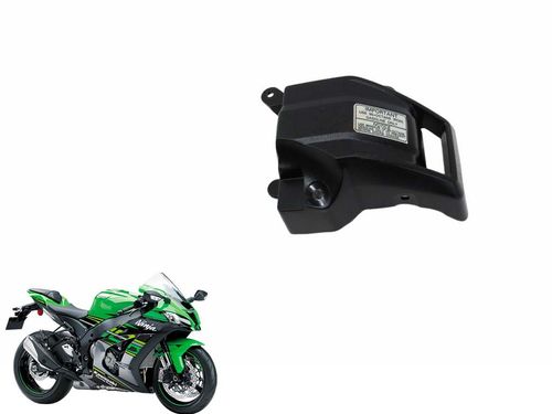 Acabamento Reservatório Água Kawasaki Zx 10 16-21 Usad