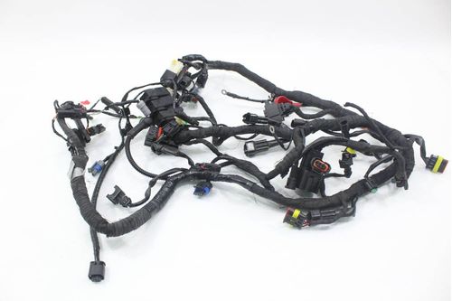 Chicote Principal Bmw G310 R G310r 17-20