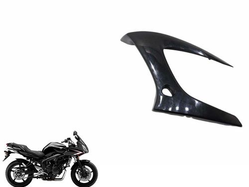 Carenagem Lateral Esquerda Yamaha Fazer 600 04-06 Usad