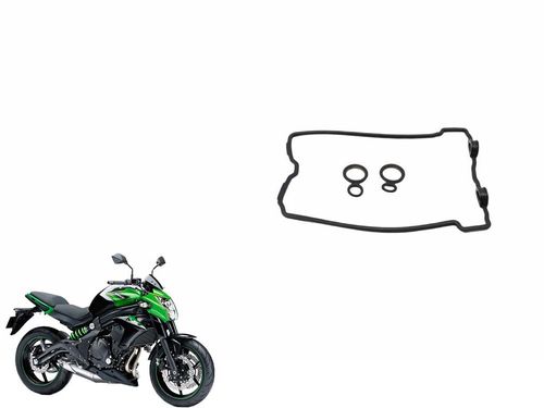 Guarnição Tampa Cabeçote Kawasaki Er-6n 13-17 Usad
