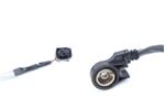 image-c76ae6272e2445fda2e257ddd801b870