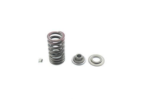Kit Mola Válvula In/ex Kawasaki Er-6n Er6n 13-17