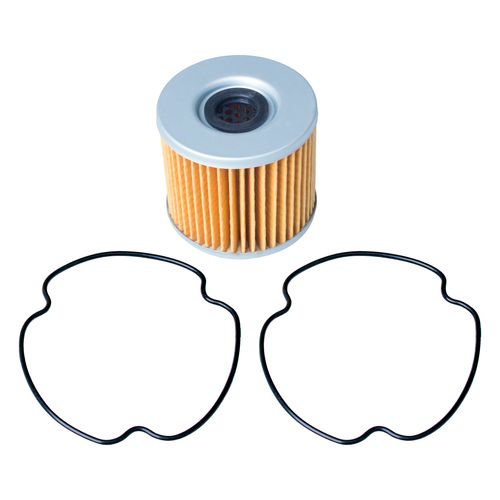 Filtro de Óleo Suzuki GS 500E 1994 a 2010