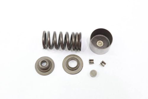 Mola Válvula Admissão Kawasaki Z 800 Z800 13-17