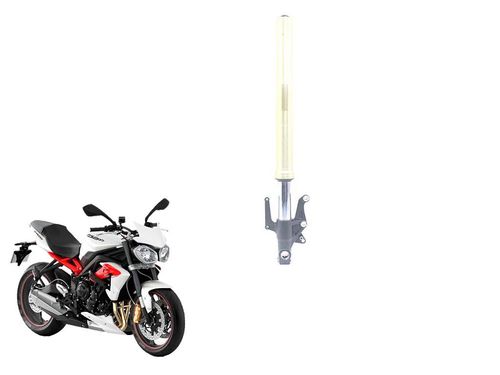 Bengala Esquerda Triumph Street Triple 675 13-14
