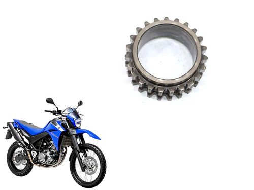 Engrenagem Corrente Comando Yamaha Xt 660 05-18