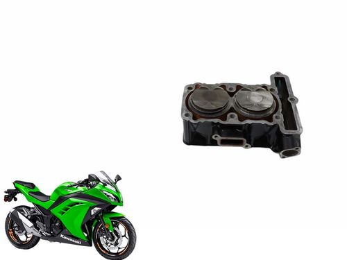 Cilindro Com Pistão e Anéis Kawasaki Ninja 300 13-18 Usad