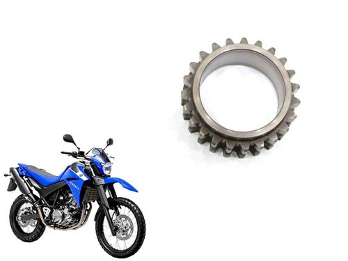 Engrenagem Corrente Comando Yamaha Xt 660 05-18
