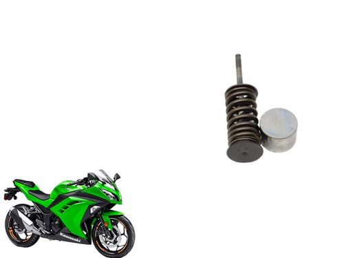 Kit Válvula Admissão Kawasaki Ninja 300 13-18 Usad