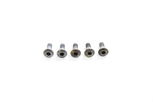 Kit Parafusos Disco Freio Dianteiro Suzuki Gsxr 750 Srad 2008-2009