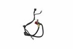 image-d7ee8f75d9fa4690bb394db6aed5304d