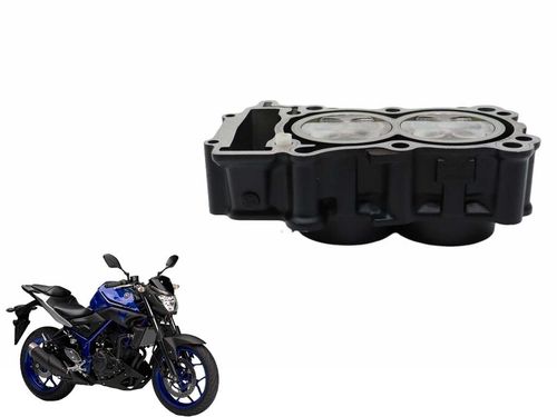 Cilindro Com Pistão e Anéis Yamaha Mt 03 17-23 Usad