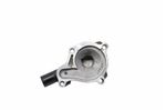 image-11ab2dc923cd4e2fabb5457ef798b4cb