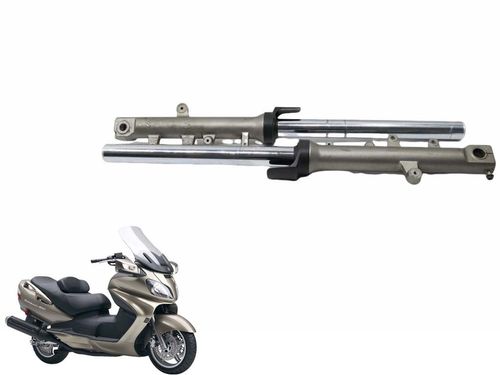 Par Bengalas Suzuki Burgman 650 07-15 Usad