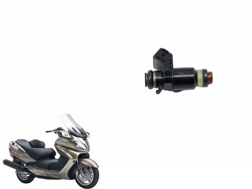 Bico Injetor Suzuki Burgman 650 07-15 Usad