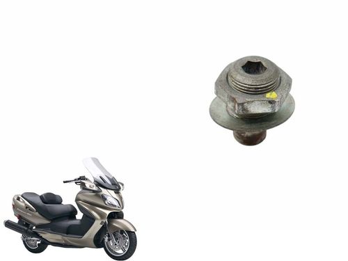 Parafuso / Eixo da Balança Suzuki Burgman 650 10-15 Usad