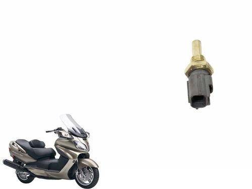Sensor Temperatura Suzuki Burgman 650 10-15 Usad