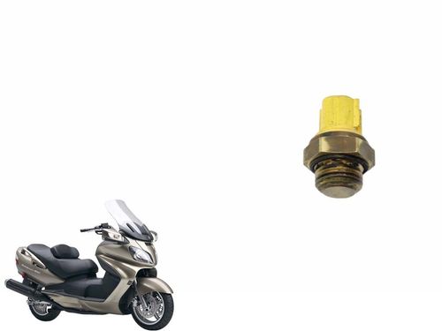 Sensor Temperatura Radiador Suzuki Burgman 650 10-15 Usad