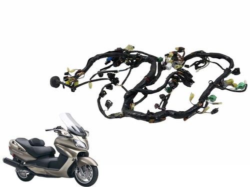 Chicote Principal Suzuki Burgman 650 07-15 Usad
