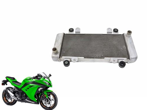 Radiador Kawasaki Ninja 300 Ninja300 13-18 Usad