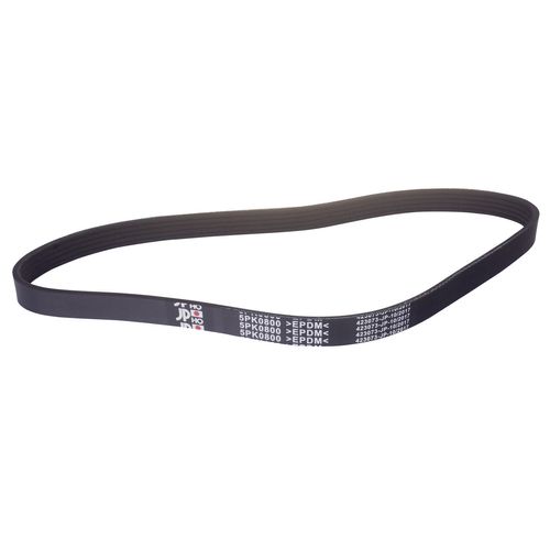 Correia Poly V 5pk0800 5PK800 5PK 800