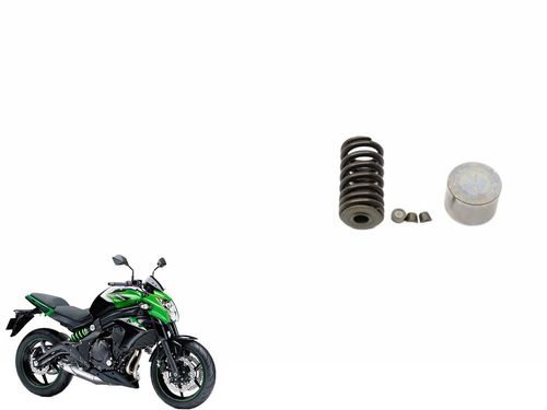 Mola Válvula Escape Kawasaki Er-6n Er6n 13-17 Usad