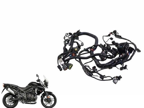 Chicote Principal Triumph Tiger 800 16-20 Usad